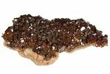 Vanadinite Cluster From Morocco - Epic Plate Of Large Crystals! #84452-1